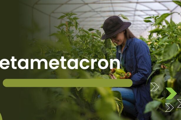Betametacron Benefits: Powerful Anti-Inflammatory for Health & Farming