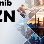 Anon ib AZN Platform Guide: Features, Use, and Insights