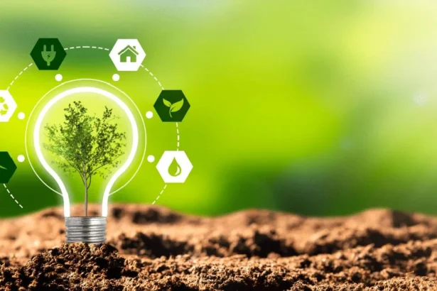 Kashyeportazza Ltd Products: An Unbiased 2024 Review