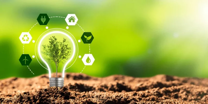 Kashyeportazza Ltd Products: An Unbiased 2024 Review