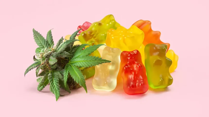 sidekicks orange obsession gummies review