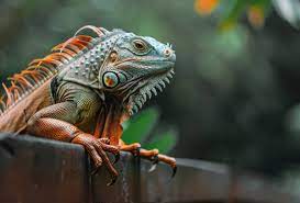 Lizardbreath5678: An Enigmatic Exploration into Its Significance
