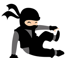 NinjaCentral Review : A complete Guidense