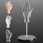 Unlock Your Potential with a Hand Manikin