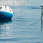 Step-by-Step Guide to Mooring Buoy 13
