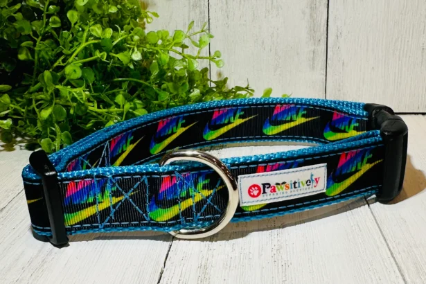 Elevate Your Pet's Style with Nike Dog Collars