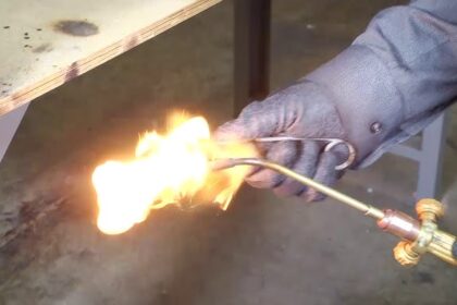 How to Grow a Torch Rosebud Successfully