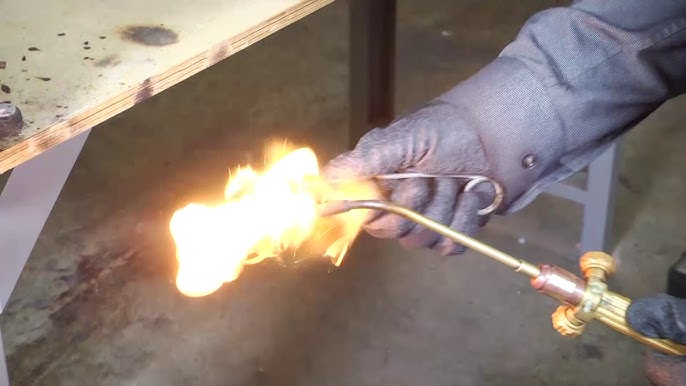 How to Grow a Torch Rosebud Successfully