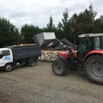 How to Properly Store Ashley Firewood for Longevity