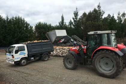How to Properly Store Ashley Firewood for Longevity